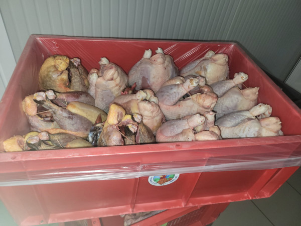 Sac fond de caisse alimentaire – Plusieurs dimensions