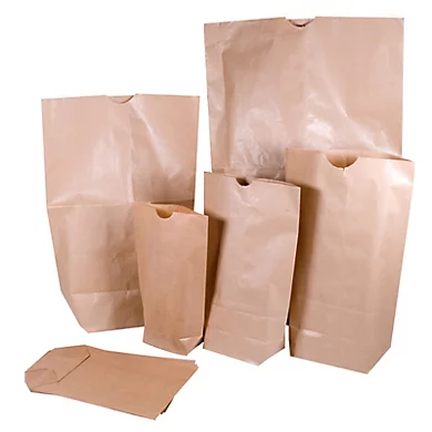 Sachet kraft à fond plat avec encoche – 1 feuille