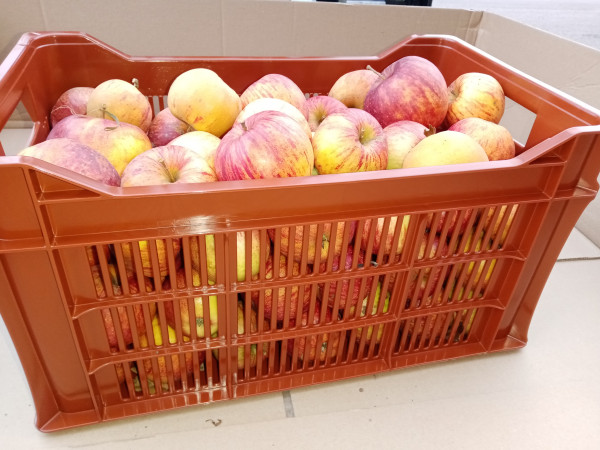 500 x 300 x 265 – 30L – Parois ajourée – Fond ondulé – Poignées ouvertes